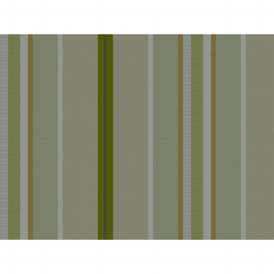 Brunschwig & Fils Twist Stripe Fabric / Celeri