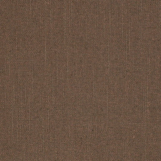 S1029 Raisin