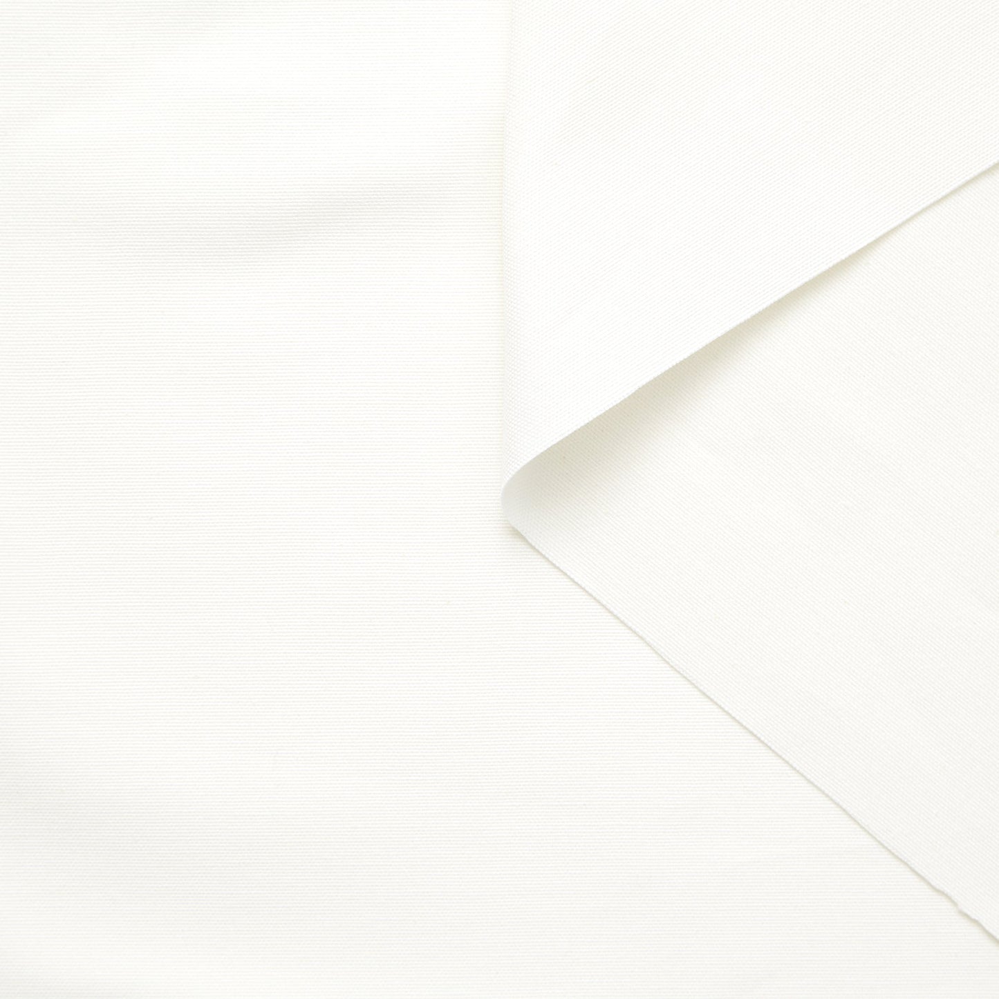 T23V05810 | Cotton Canvas