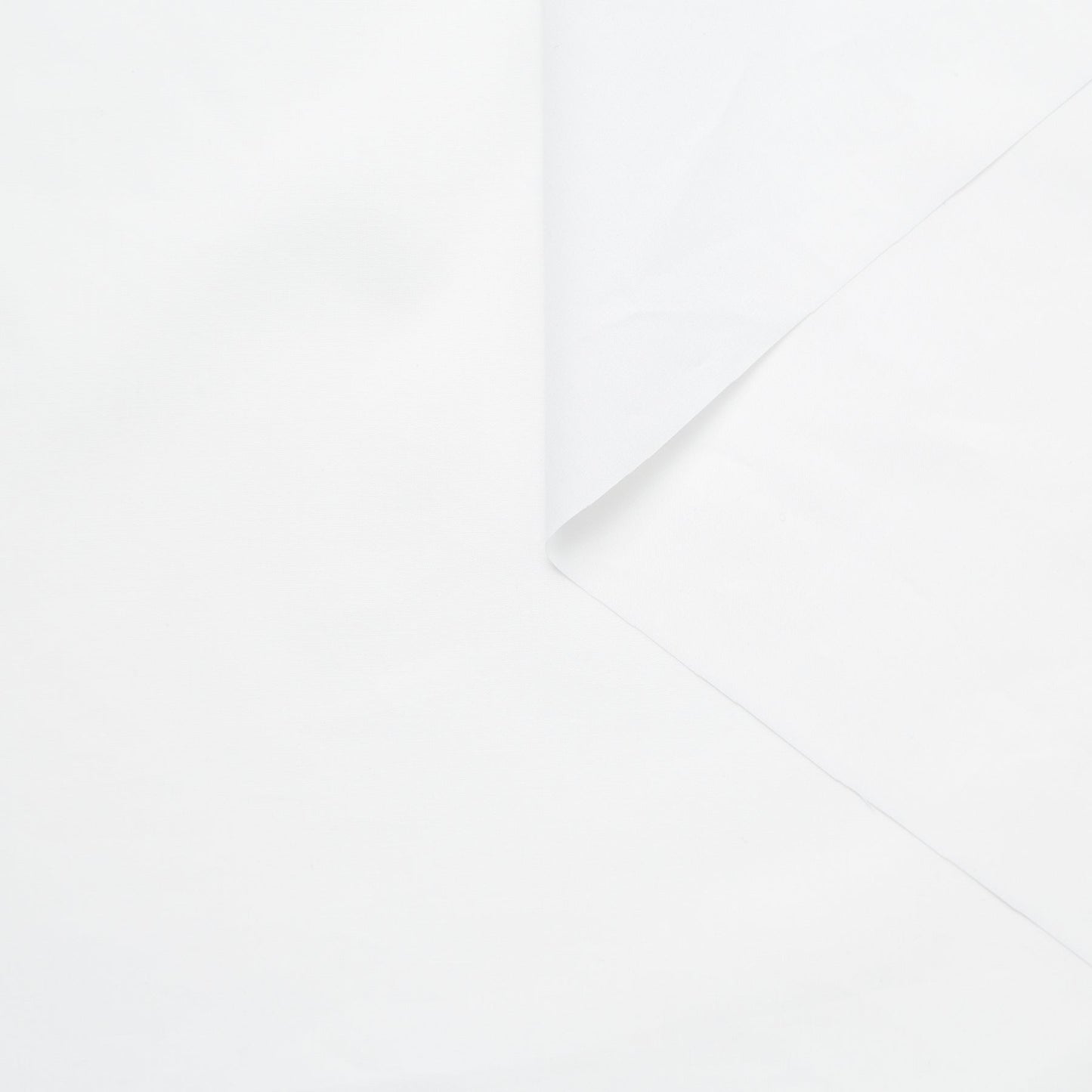 T23V05820 | Crisp Cotton Poplin