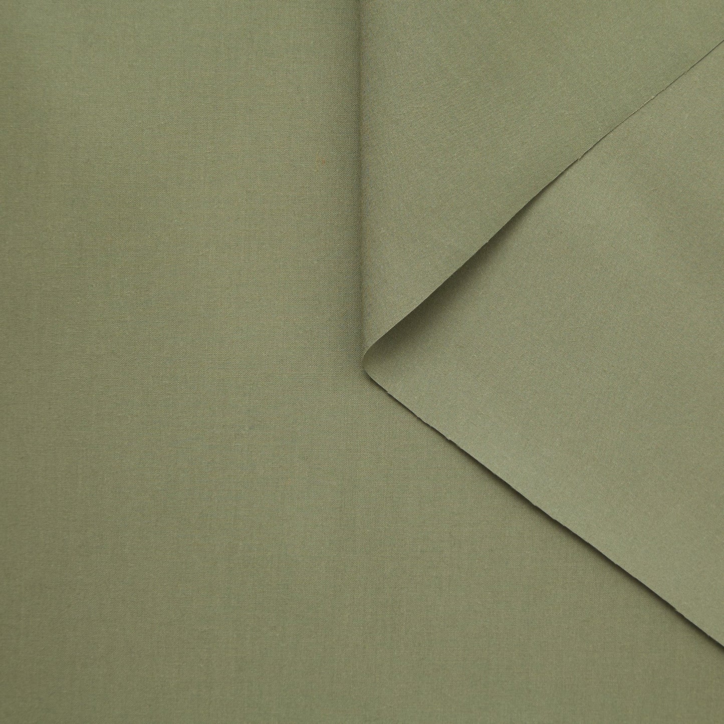 T23V05839 | Crisp Cotton Poplin